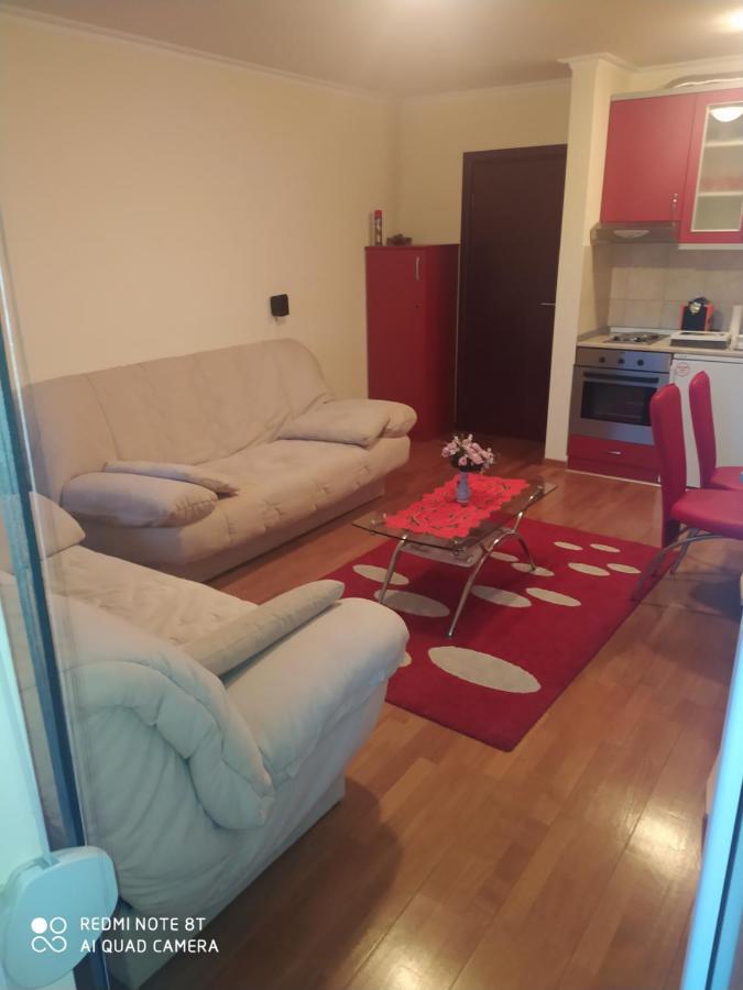 Apartman Arsenijevic Vrnjačka Banja Eksteriør billede