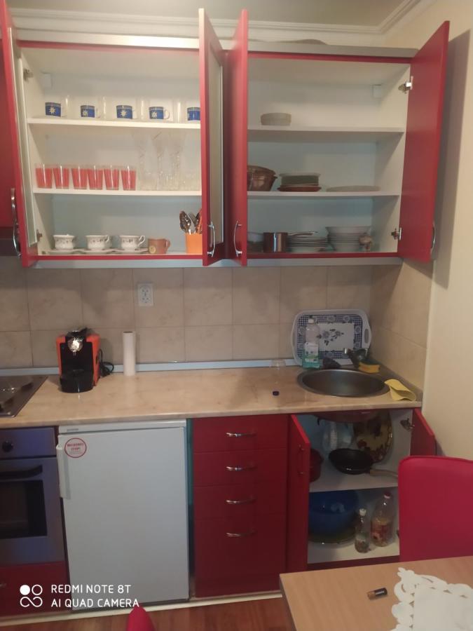 Apartman Arsenijevic Vrnjačka Banja Eksteriør billede
