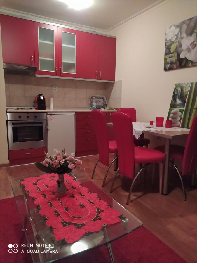 Apartman Arsenijevic Vrnjačka Banja Eksteriør billede
